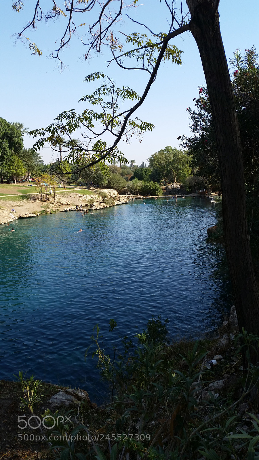 Samsung Galaxy S5 sample photo. Untitled photography