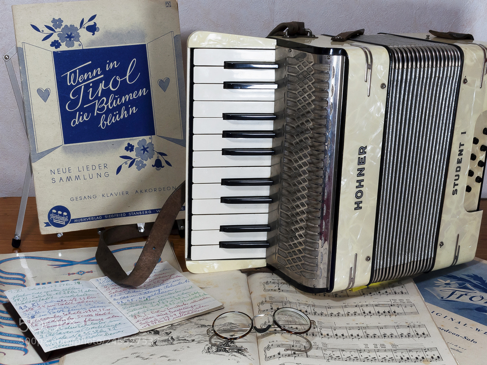 Nikon D5000 sample photo. Old concertina #1 photography