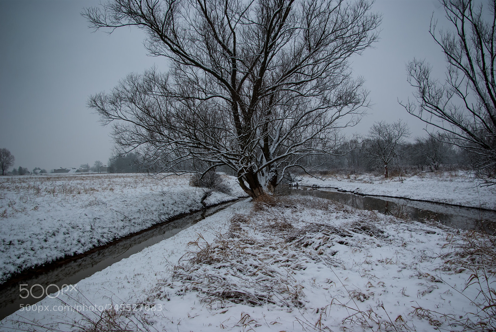 Pentax K10D sample photo. Winter photography