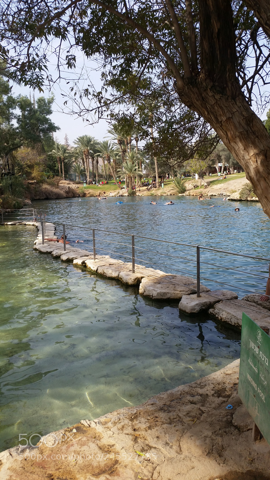 Samsung Galaxy S5 sample photo. Untitled photography
