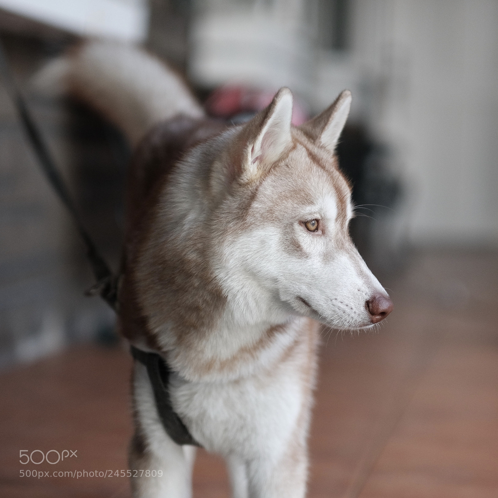 Fujifilm X-T1 sample photo. His name is lightning photography