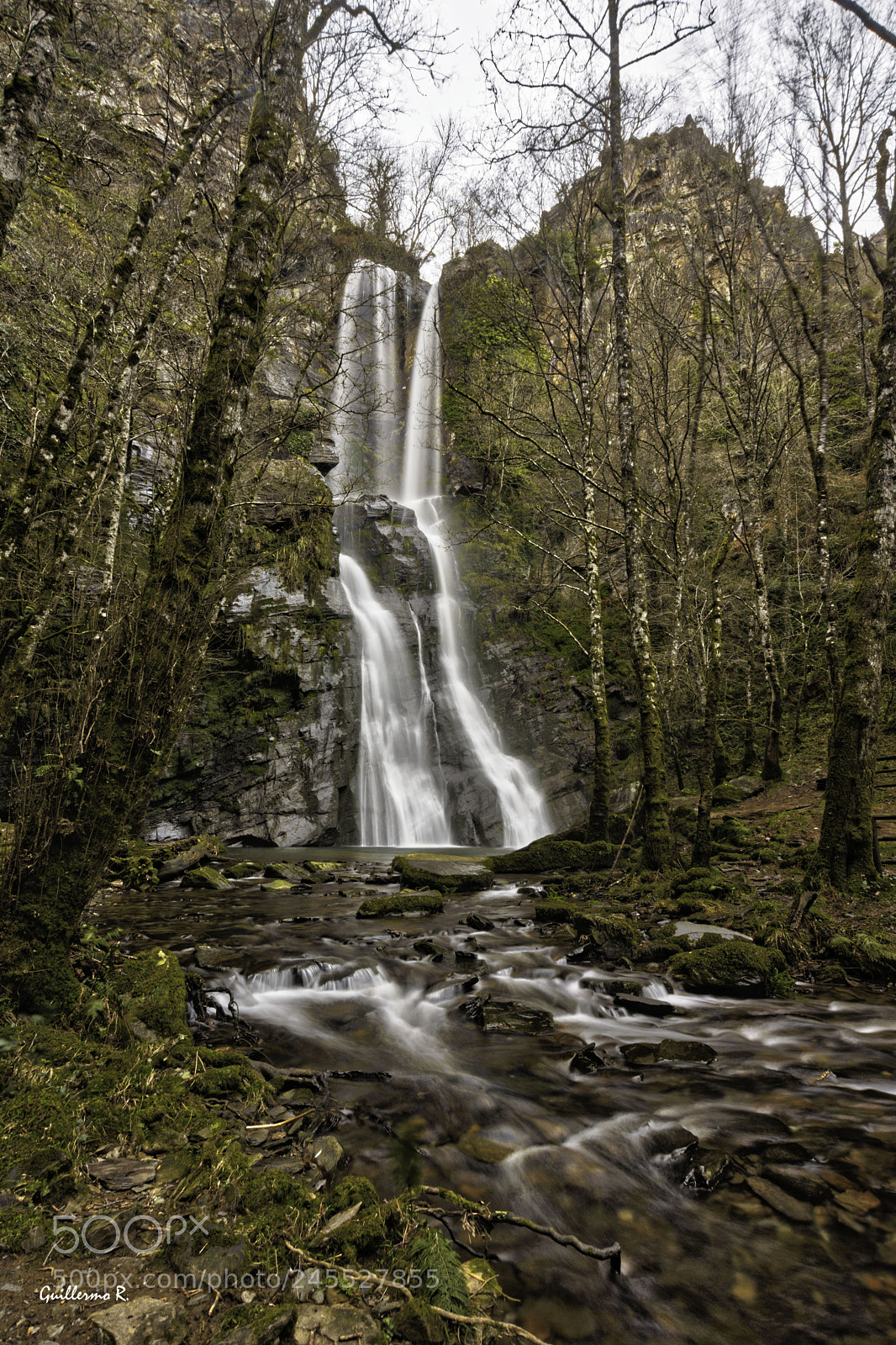 Nikon D7200 sample photo. Seimeira de vilagocende. fonsagrada photography