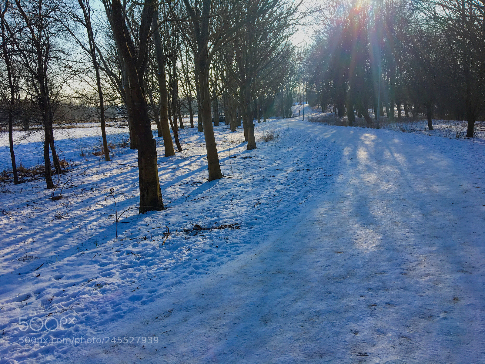 Apple iPhone 6s sample photo. Sunny winter day photography