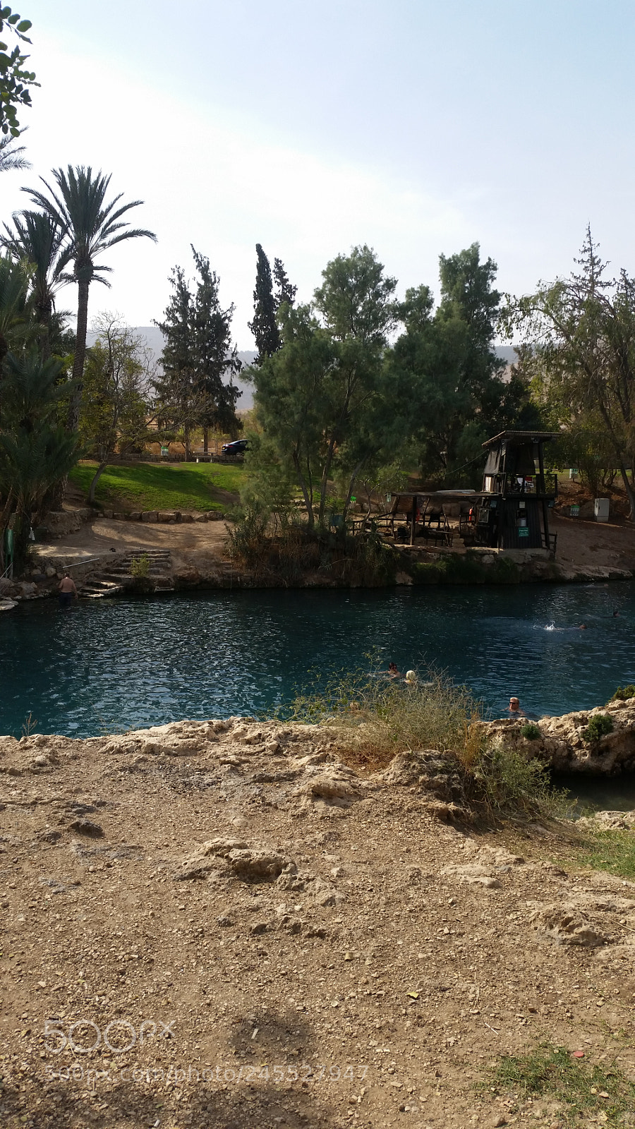 Samsung Galaxy S5 sample photo. Untitled photography