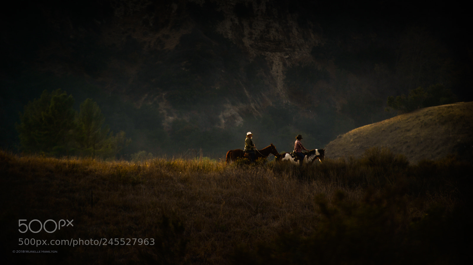 Nikon D800 sample photo. On the range photography