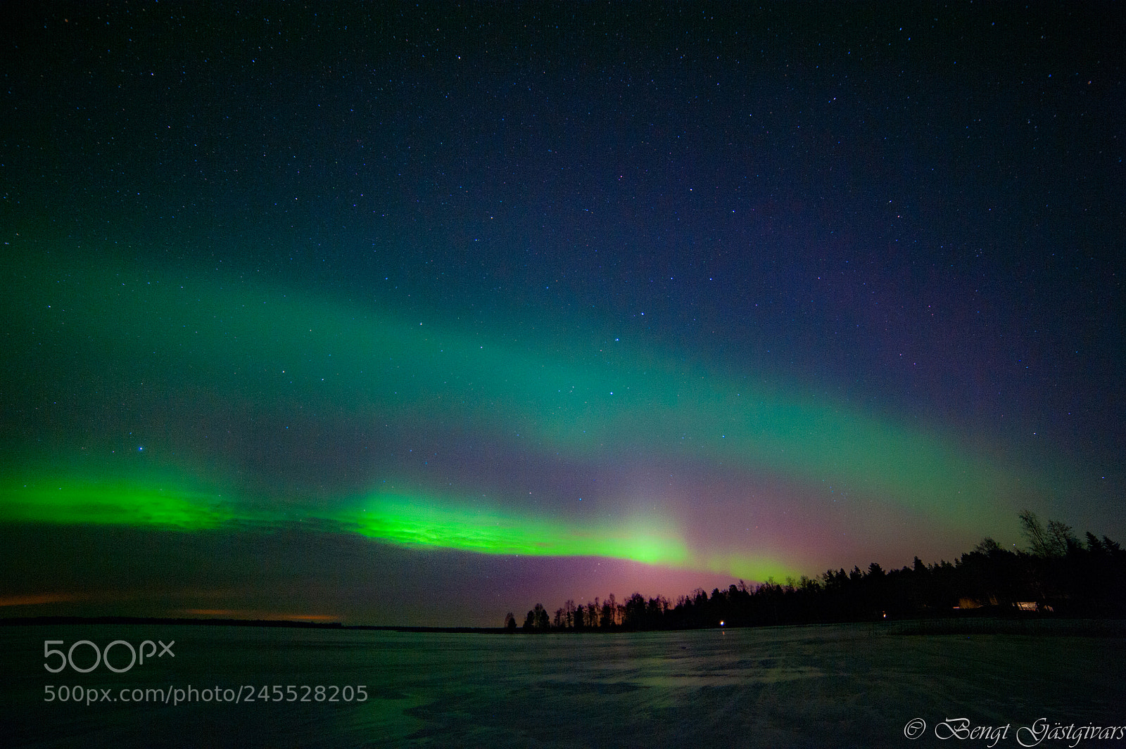 Nikon D700 sample photo. Aurora photography