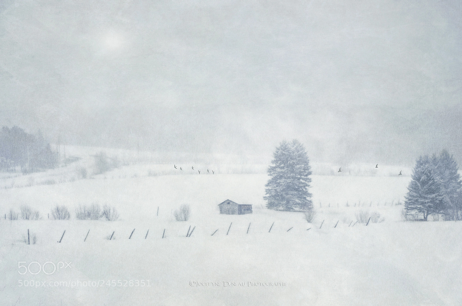 Pentax K-5 sample photo. Snow storm photography