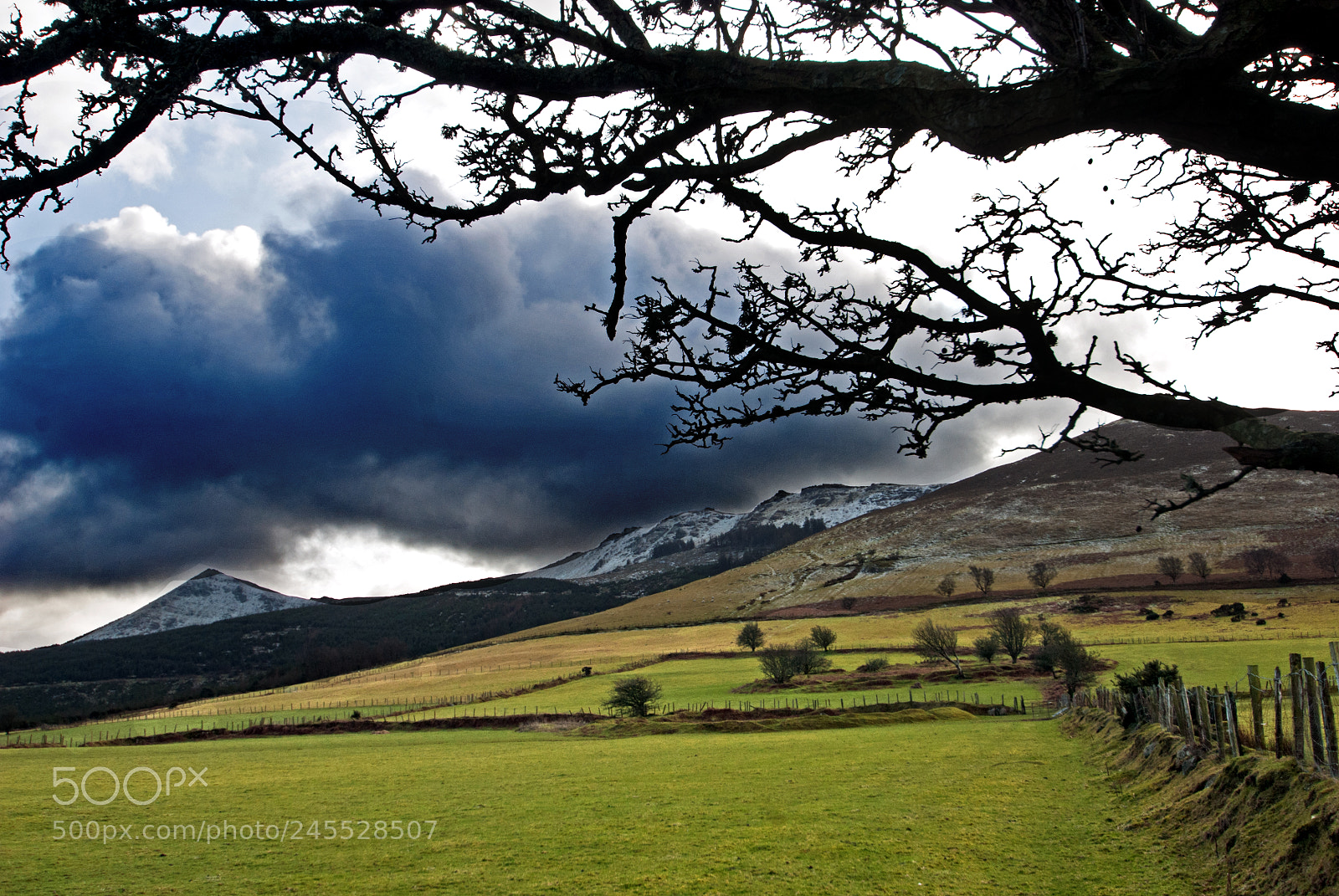 Nikon D200 sample photo. Comeragh mountain view photography