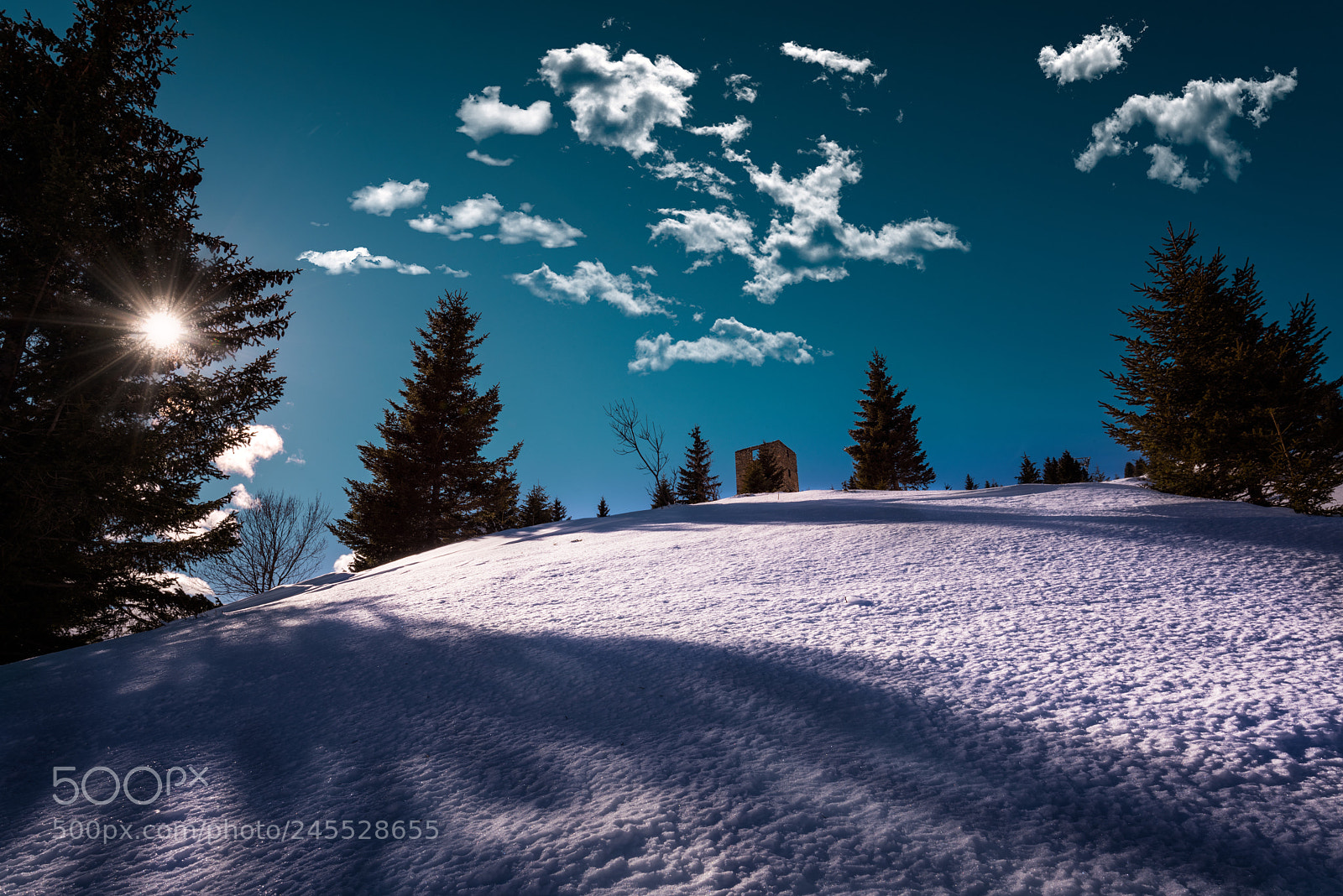 Nikon D810 sample photo. Snow and sun photography