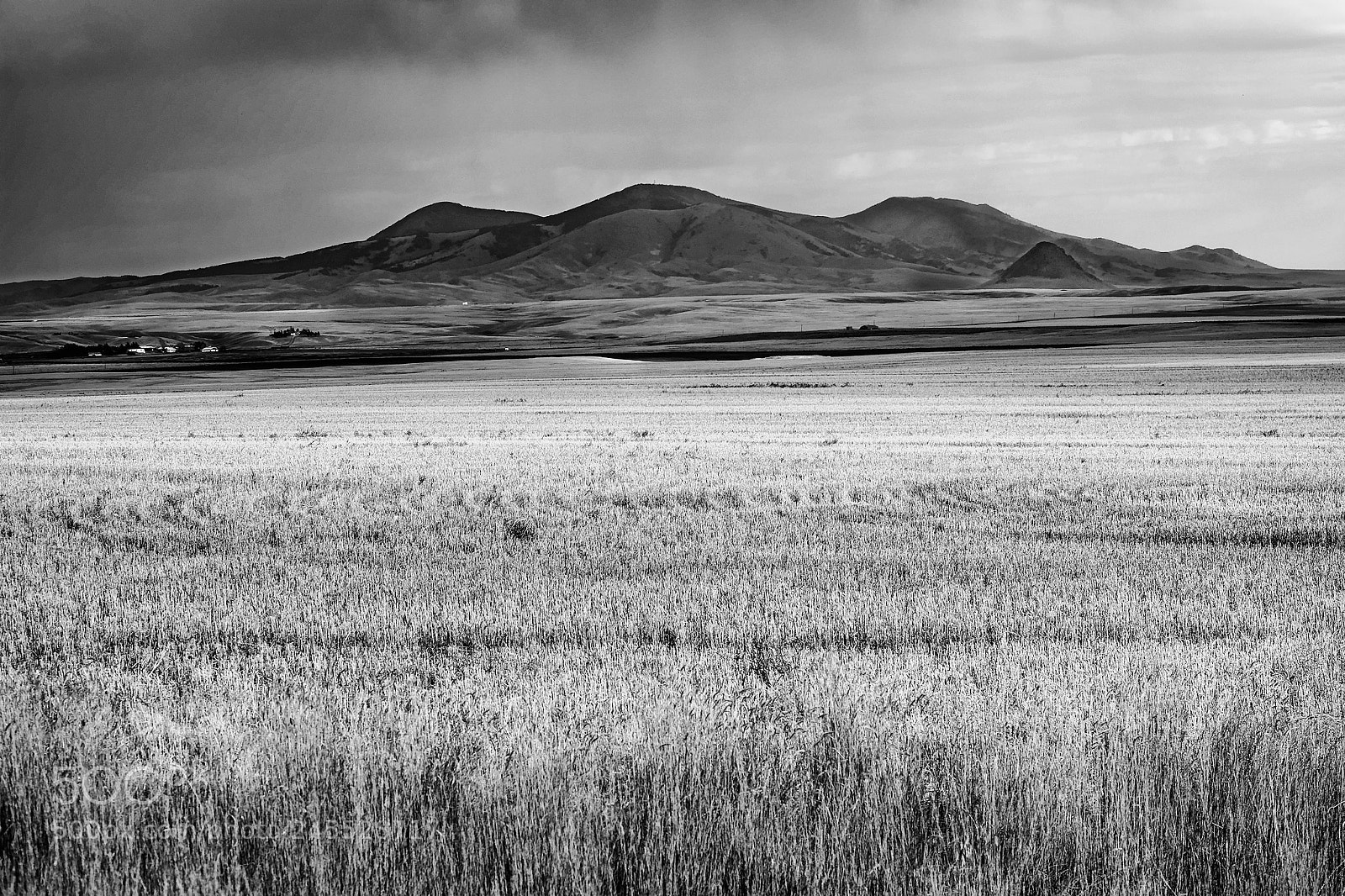 Fujifilm X-T10 sample photo. Passing shadows haystack to photography