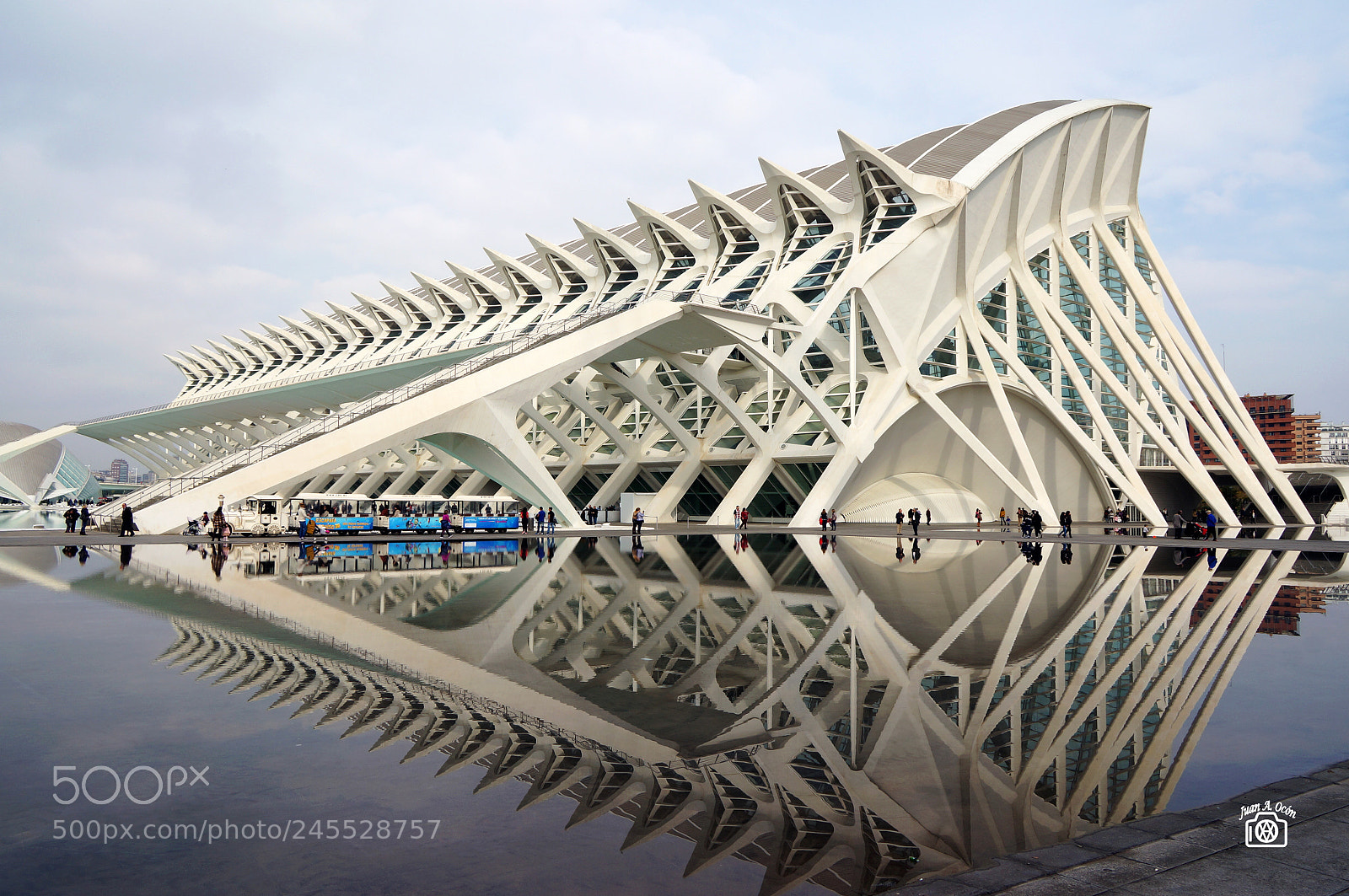 Sony Alpha NEX-5N sample photo. El esqueleto reflejado photography