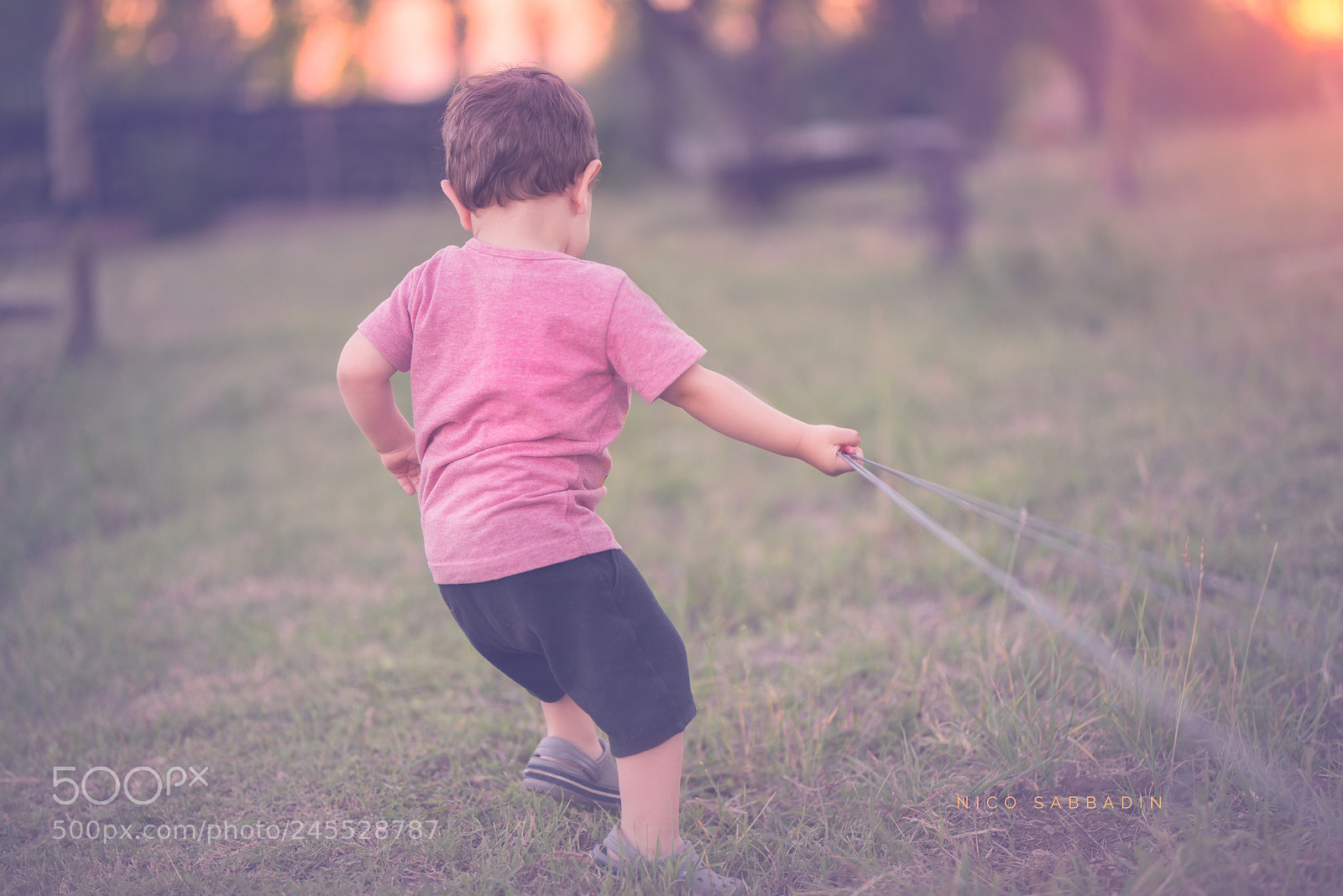 Nikon D810 sample photo. -energy- photography