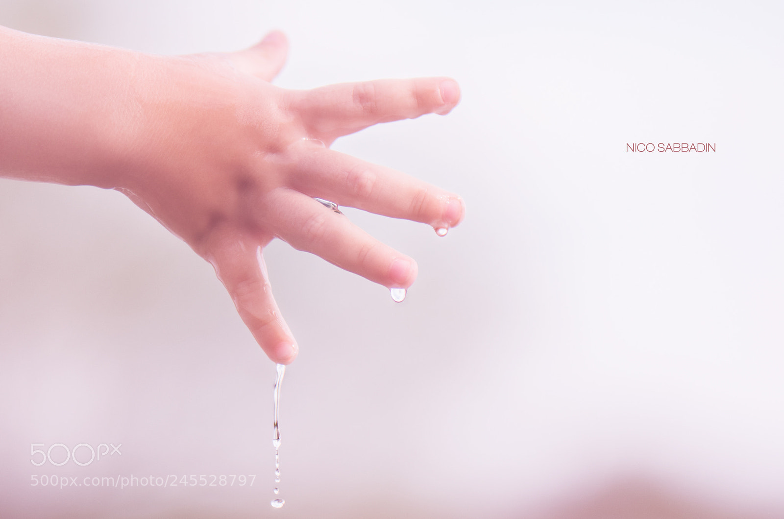 Nikon D810 sample photo. Hand drop photography