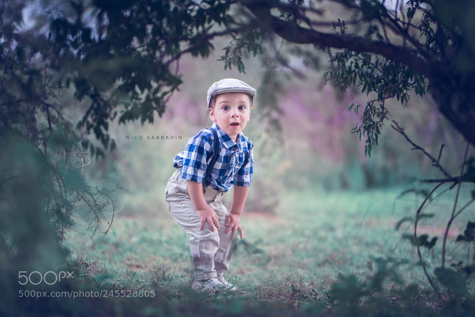 Nikon D810 sample photo. Hide & seek photography
