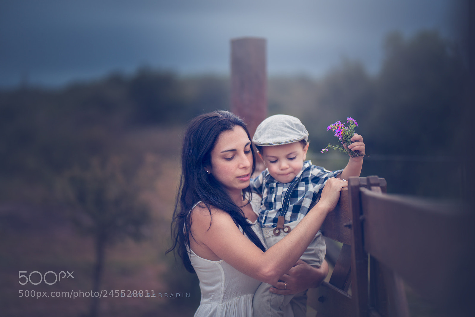 Nikon D810 sample photo. Love in view photography