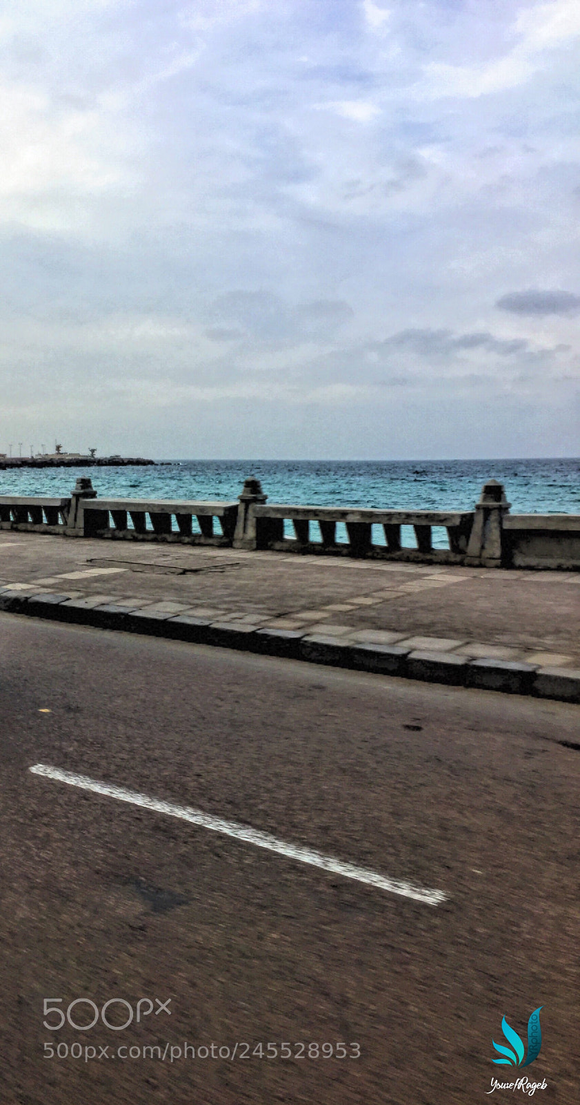 Apple iPhone 6 Plus sample photo. Untitled photography