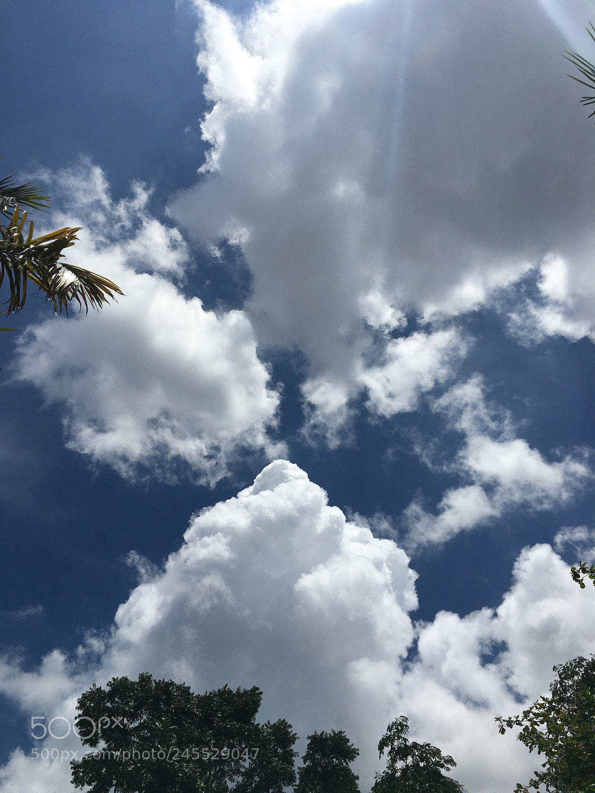 Apple iPhone 6s sample photo. Agyw photography