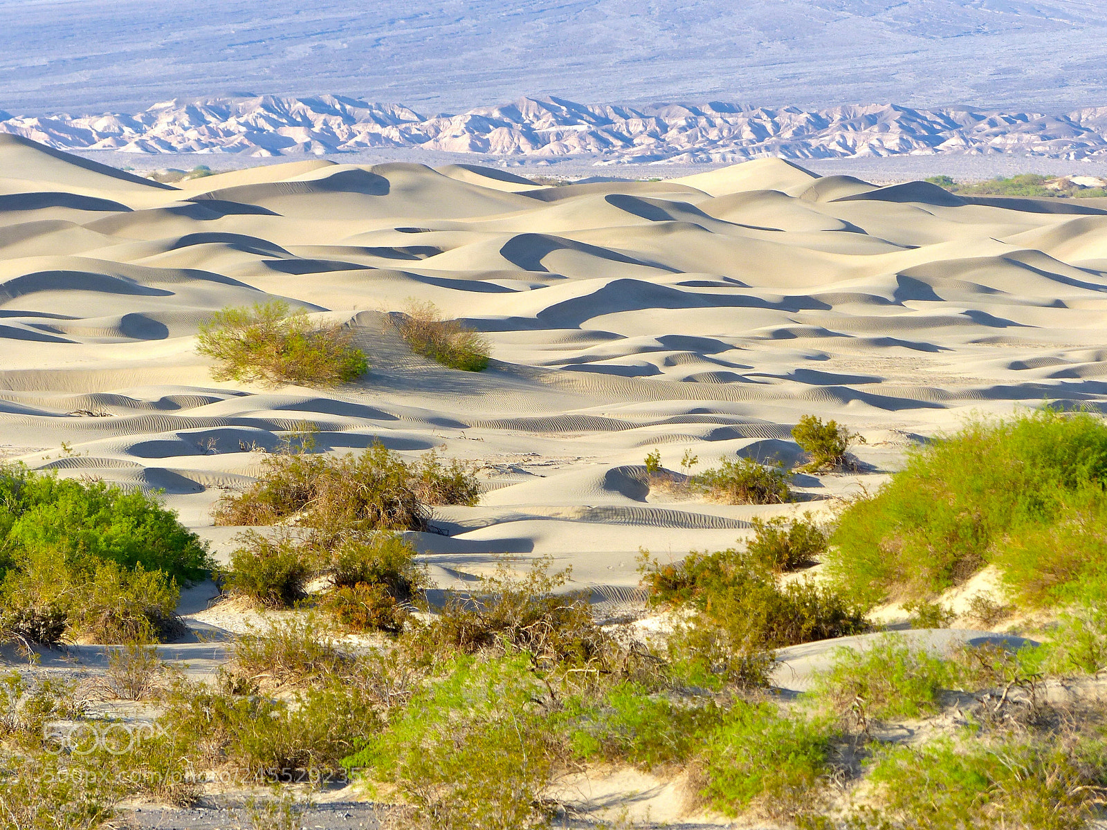 Panasonic Lumix DMC-FZ200 sample photo. Death valley at sunset photography