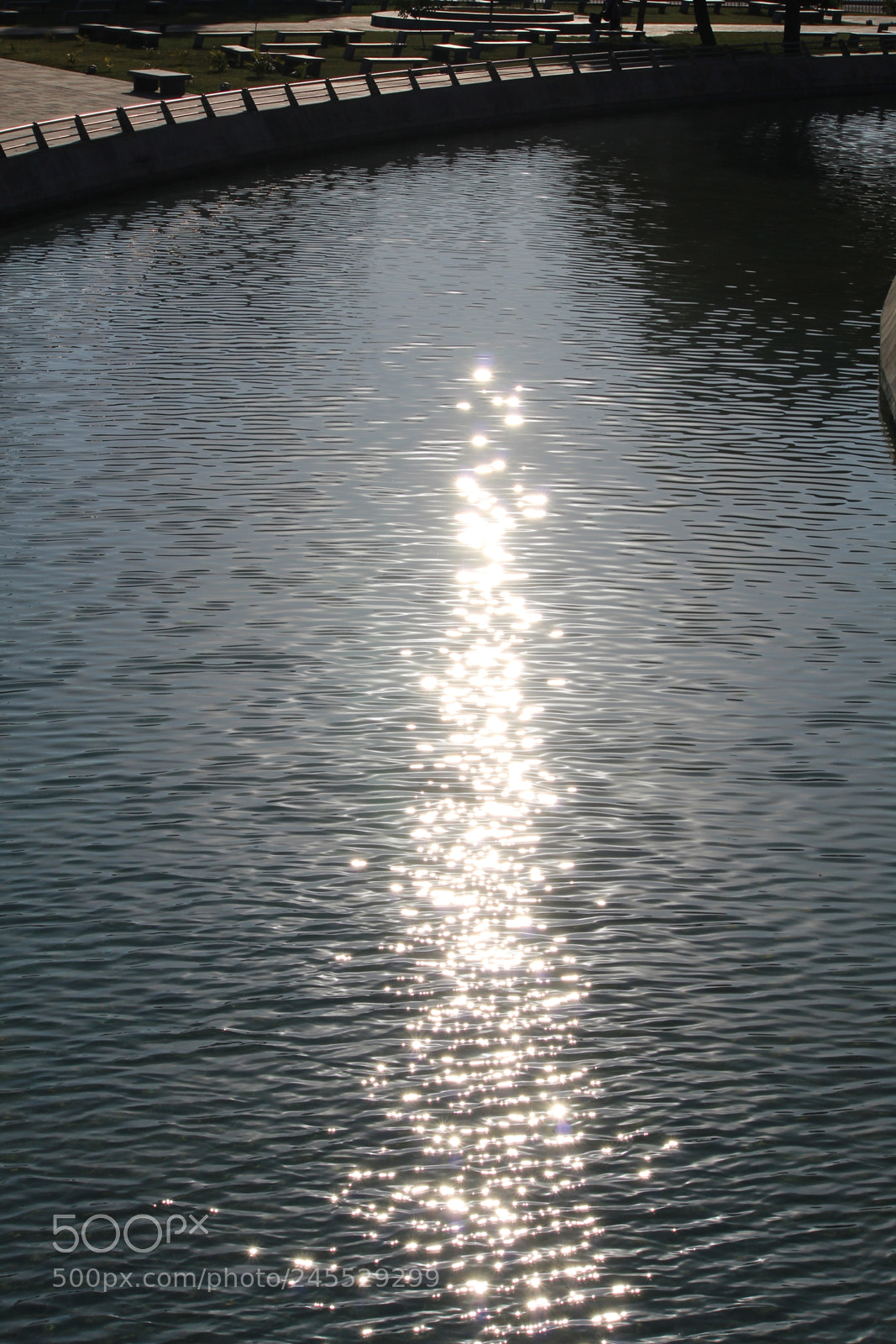 Canon EF-S 55-250mm F4-5.6 IS II sample photo. Img photography