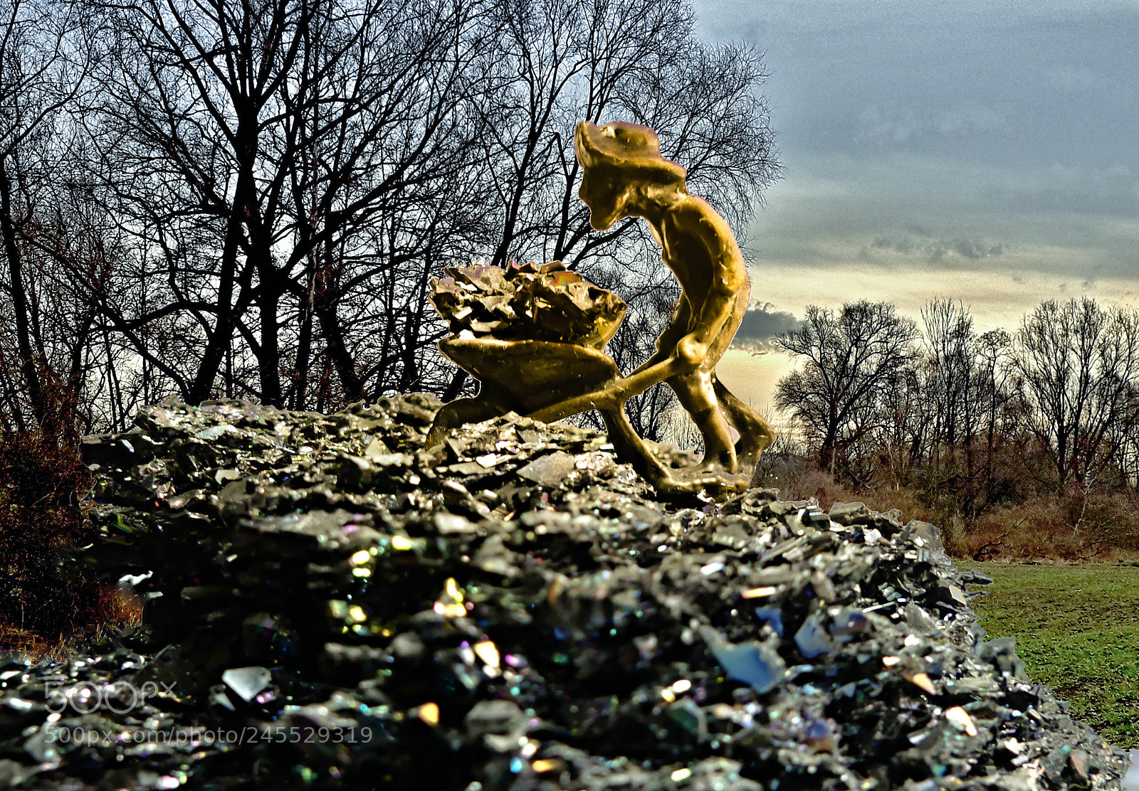Panasonic Lumix DMC-FZ300 sample photo. Golden miner. photography