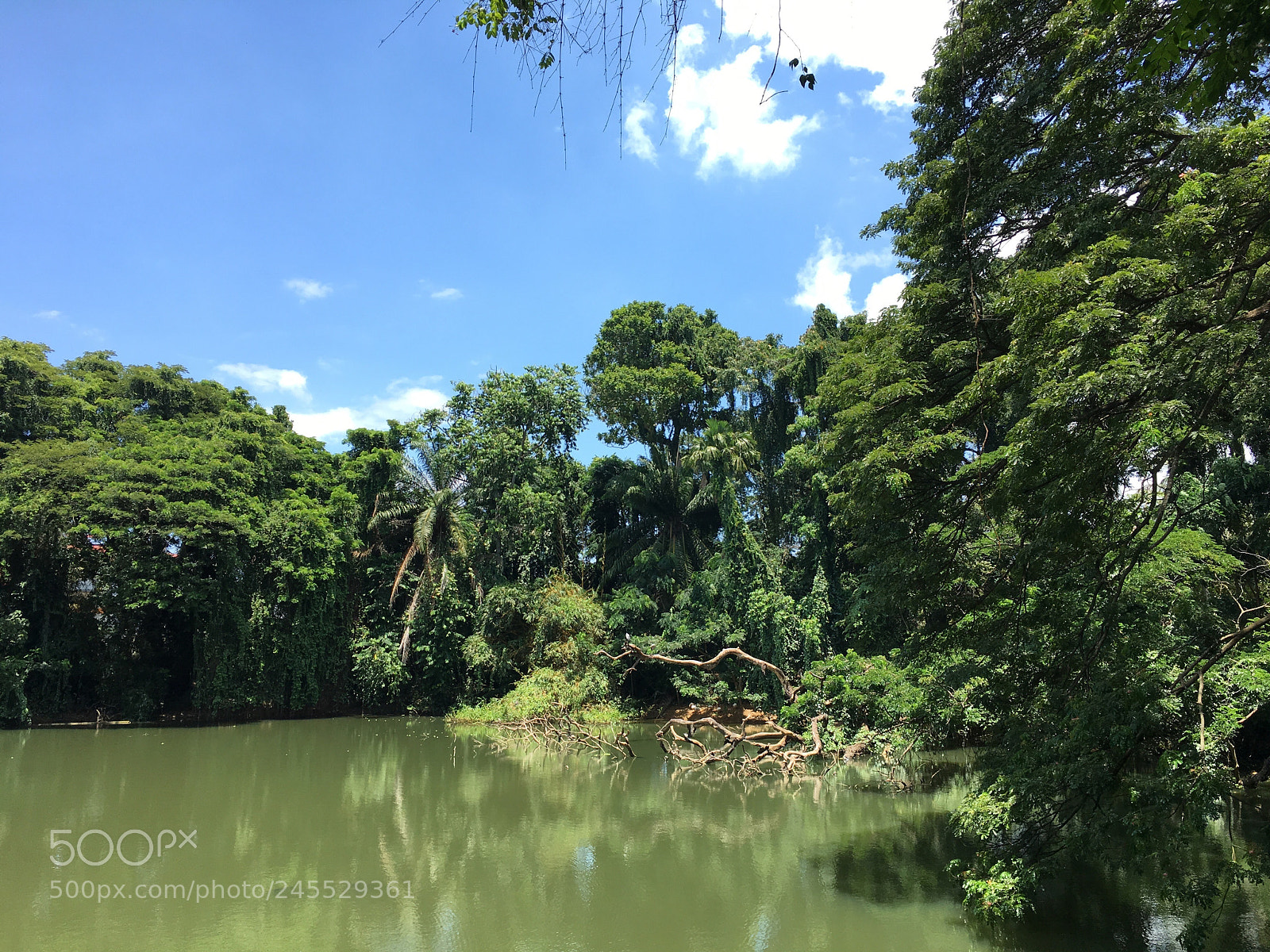 Apple iPhone 6s sample photo. Img photography