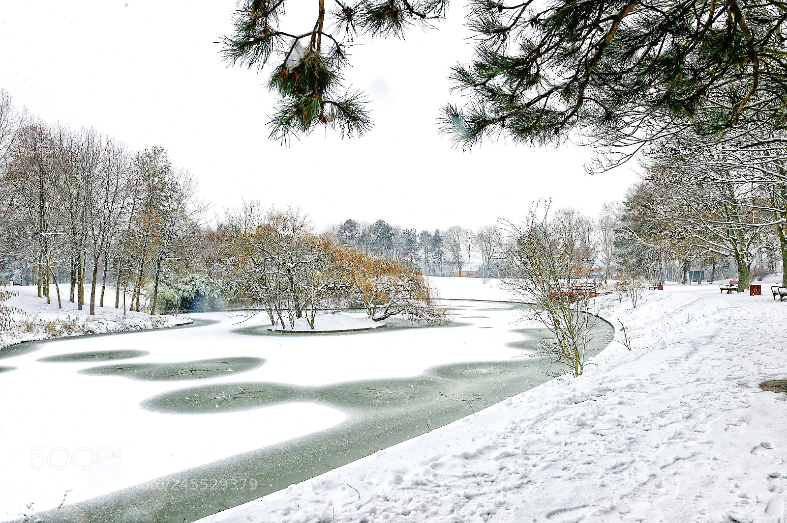 Nikon D4 sample photo. Les couleurs du silence photography