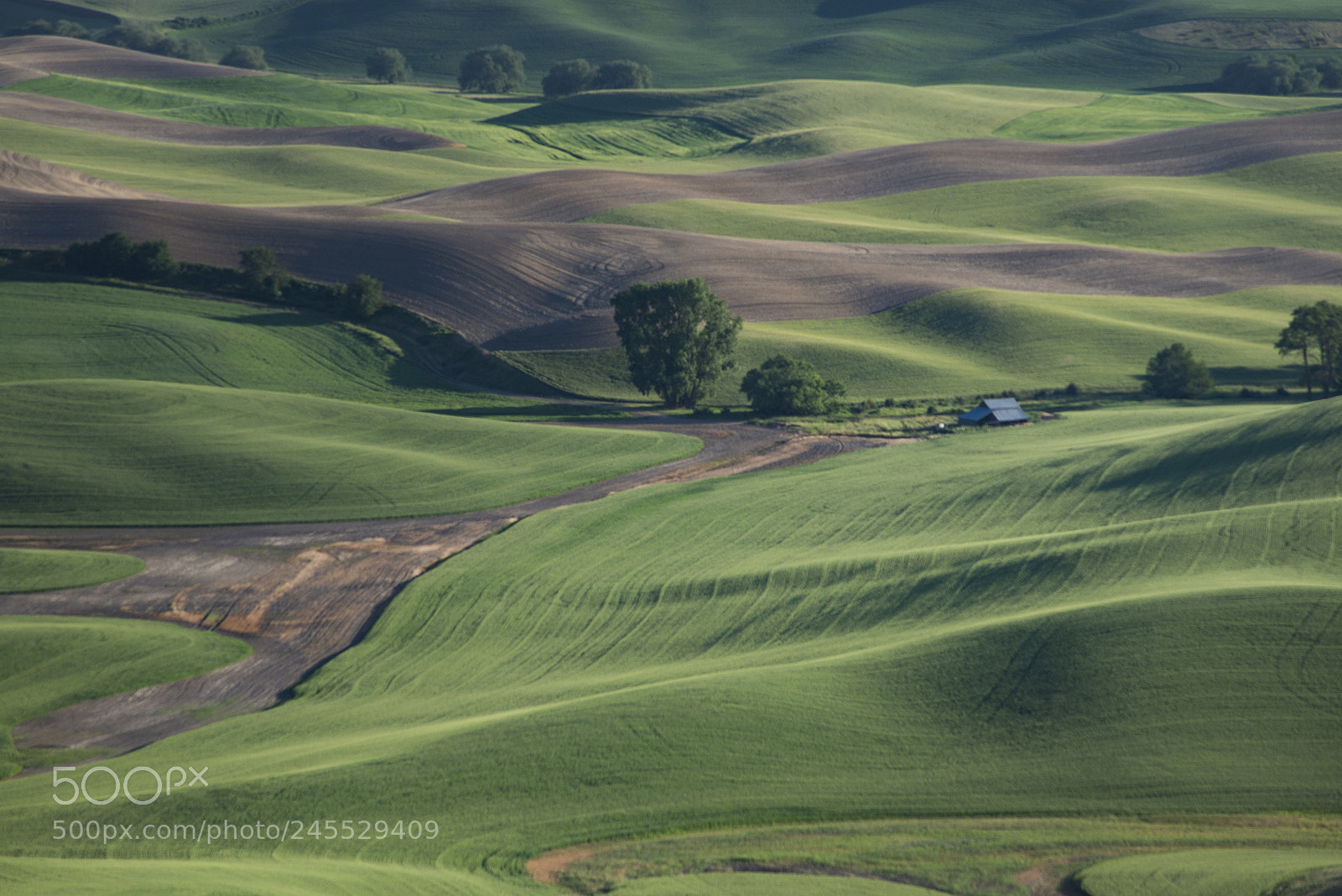 Nikon D610 sample photo. The palouse photography