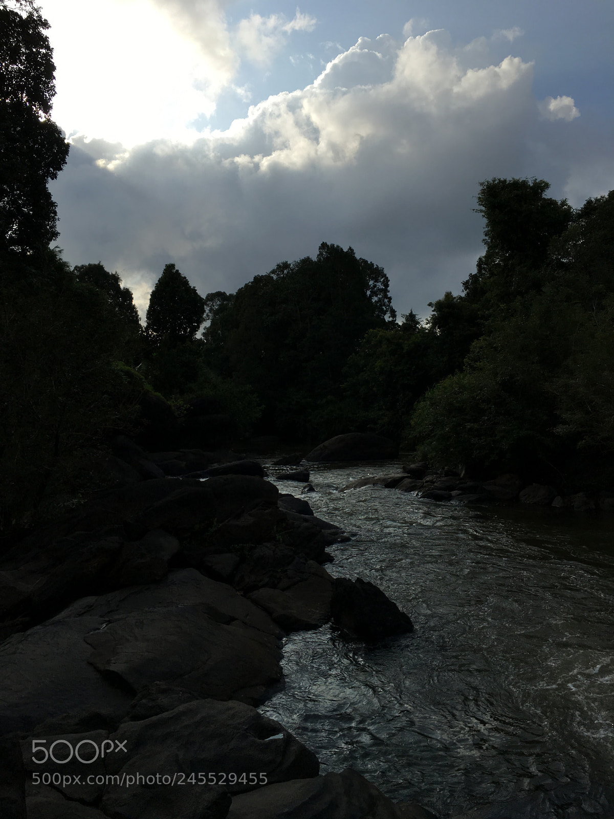 Apple iPhone 6s sample photo. Img photography