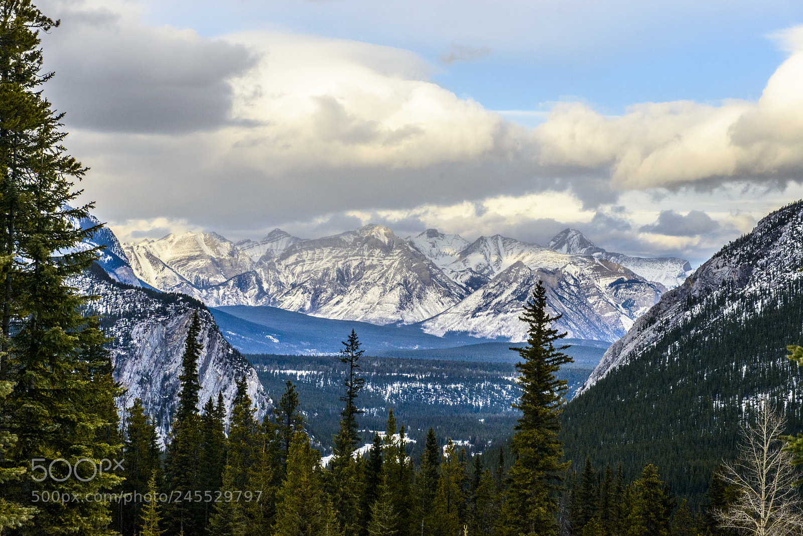 Nikon D800 sample photo. Banff canada photography