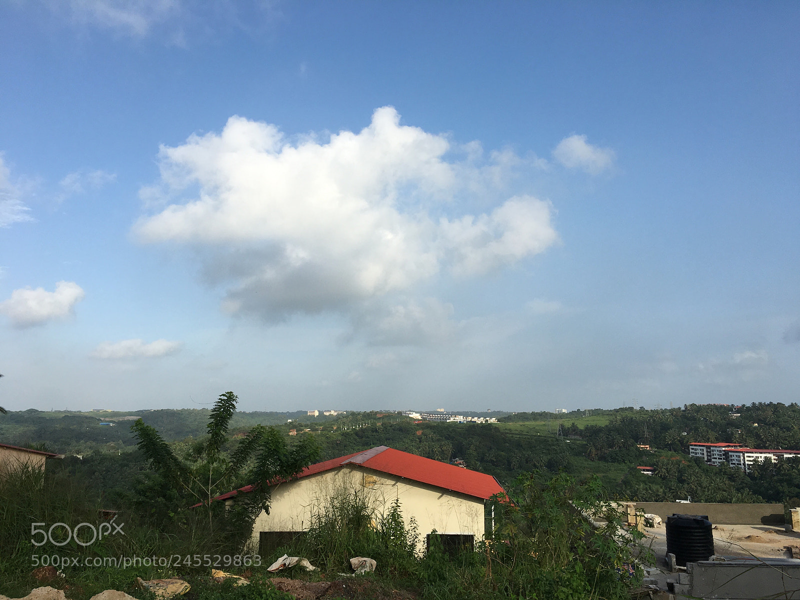 Apple iPhone 6s sample photo. Pavj photography