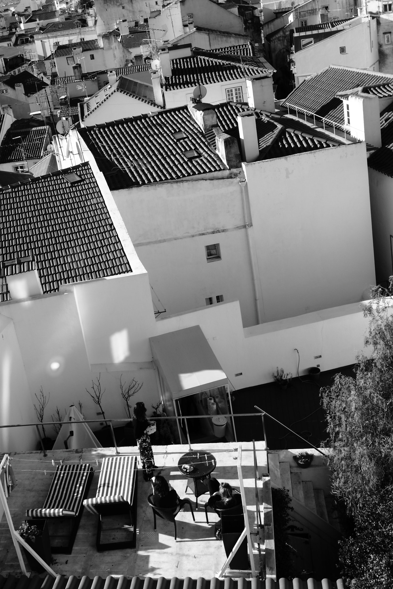 Canon EOS 550D (EOS Rebel T2i / EOS Kiss X4) sample photo. At noon... photography