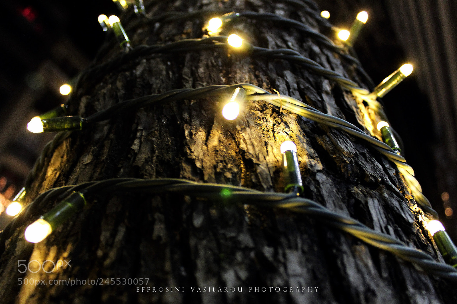 Canon EOS 700D (EOS Rebel T5i / EOS Kiss X7i) sample photo. Lights. photography