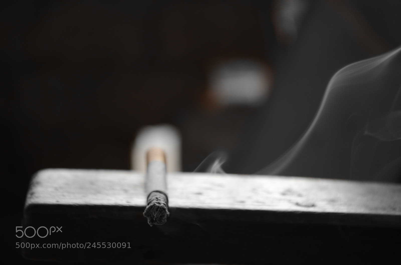 Nikon D5100 sample photo. Untitled photography