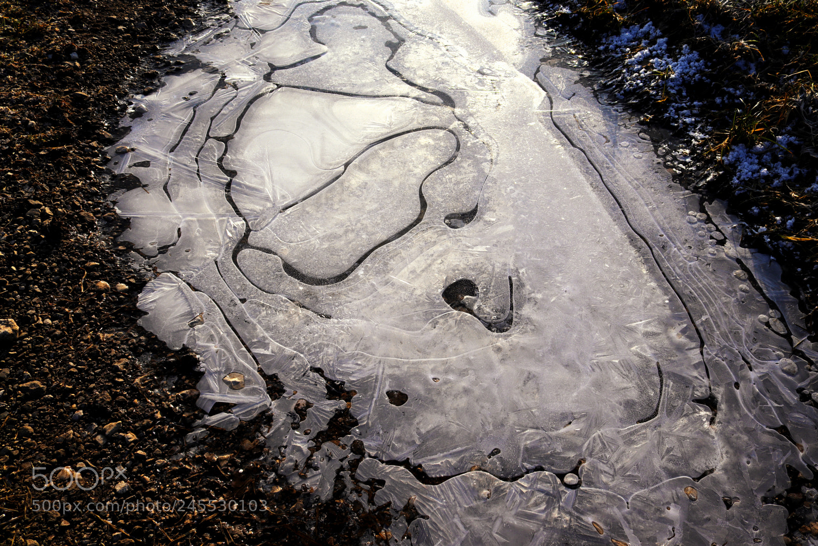 Canon EOS 200D (EOS Rebel SL2 / EOS Kiss X9) sample photo. Frozen puddle photography
