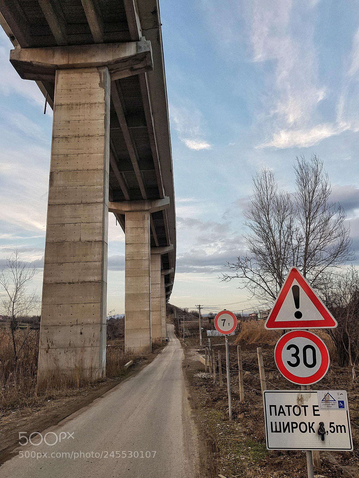 Samsung Galaxy S8+ sample photo. How do we get photography