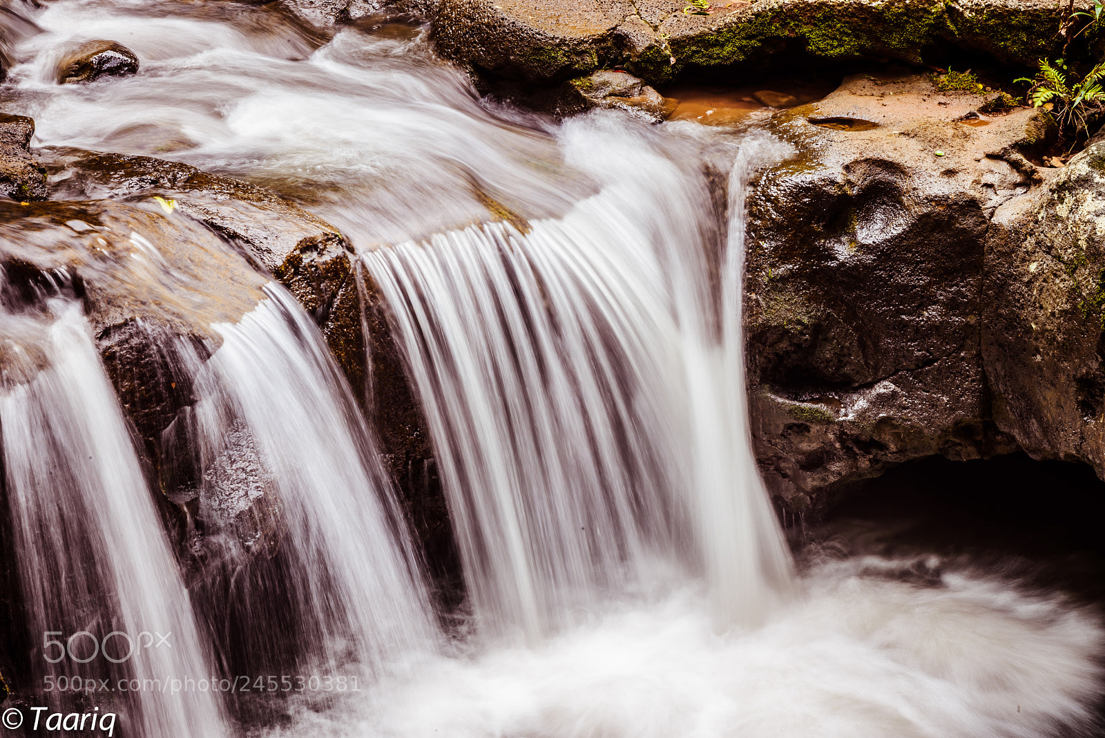 Nikon D610 sample photo. Silky cascade photography