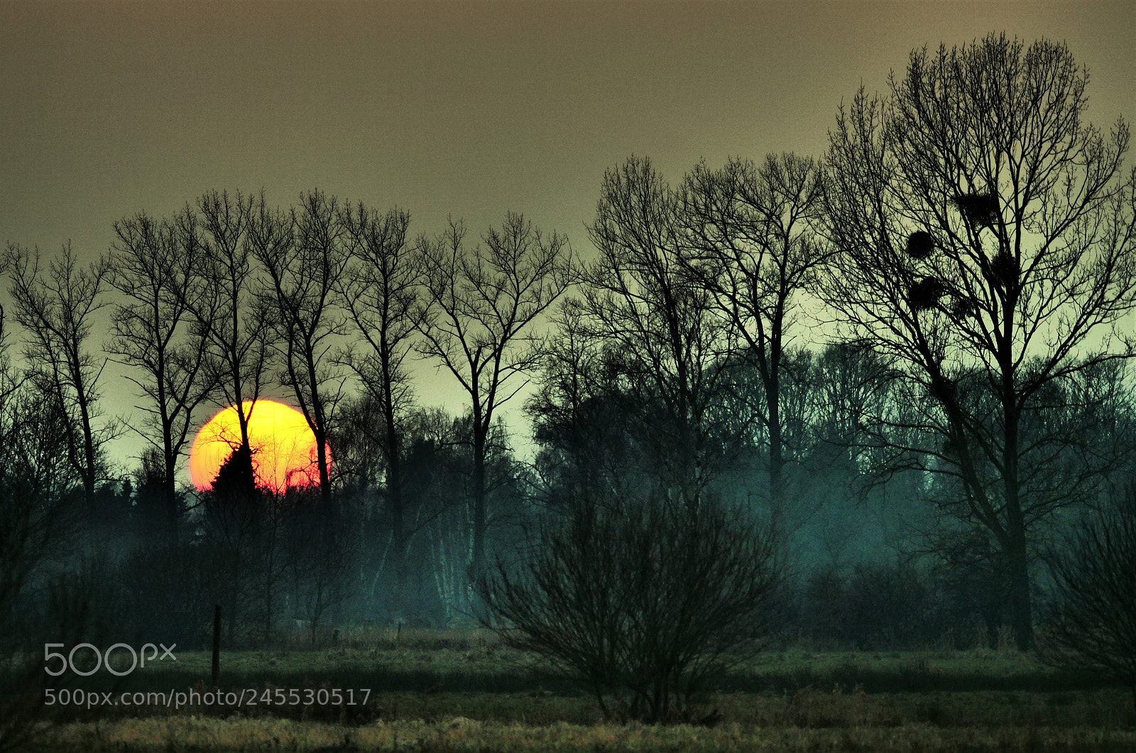 Panasonic Lumix DC-GH5 sample photo. Sunset at ilkerbruch photography
