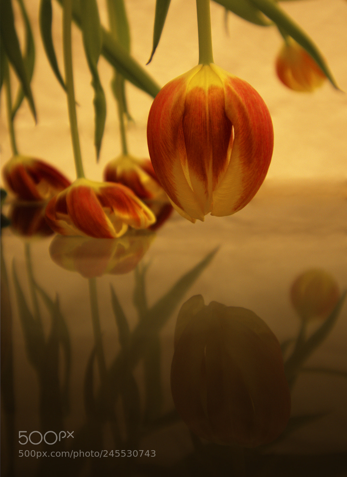 Nikon D7500 sample photo. Sb024 photography