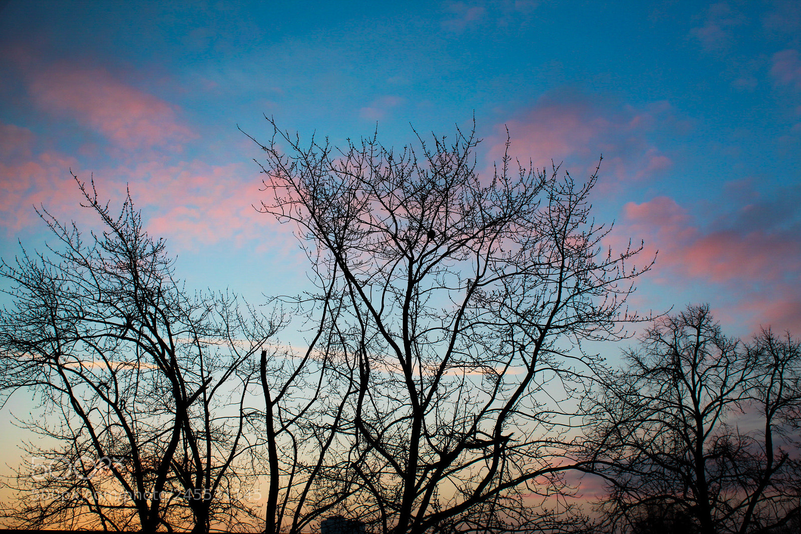 Canon EOS 1300D (EOS Rebel T6 / EOS Kiss X80) sample photo. Winter sunrise photography