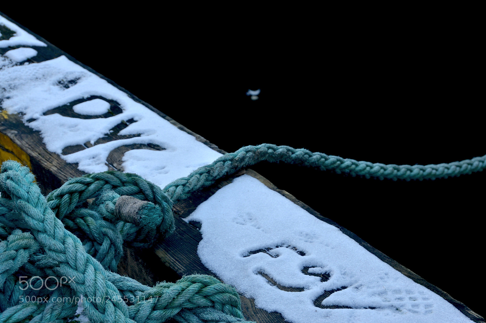Nikon D3100 sample photo. Snow rope and writing photography