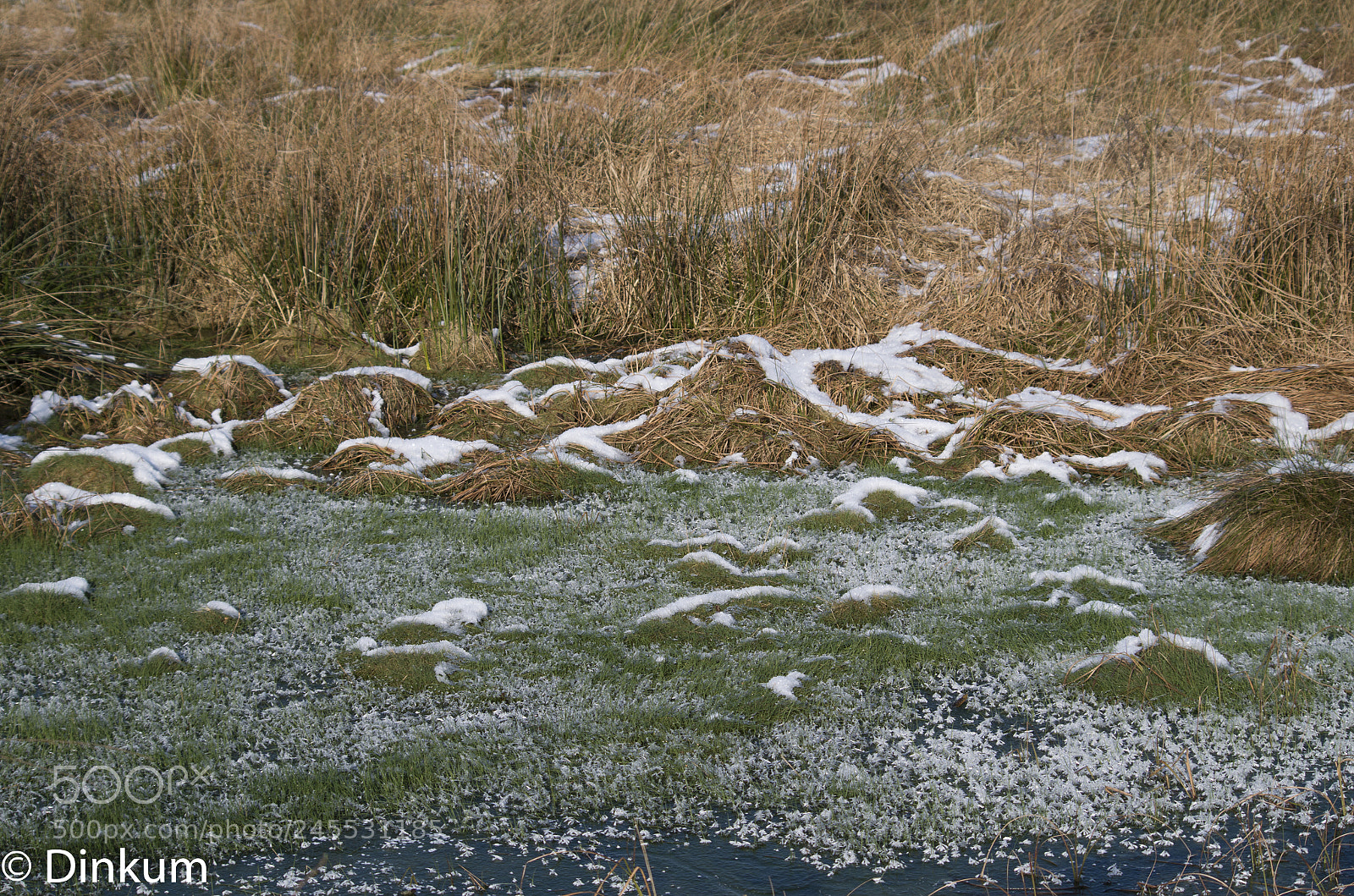 Pentax K-50 sample photo. Frost und schnee photography