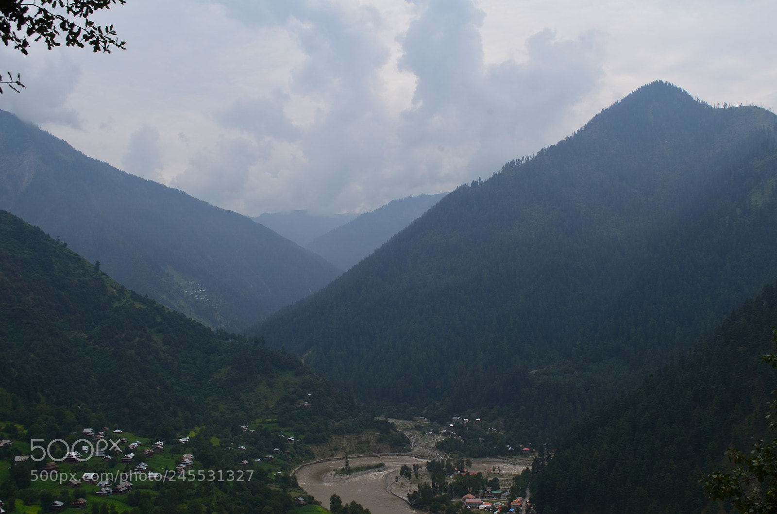Nikon D5100 sample photo. Nature photography