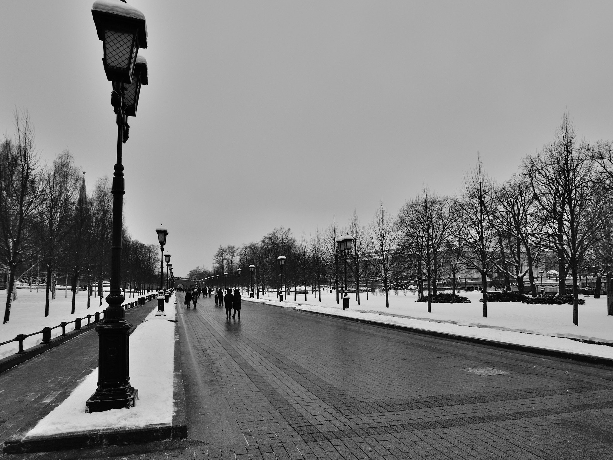 Nikon D5000 sample photo. Alley photography