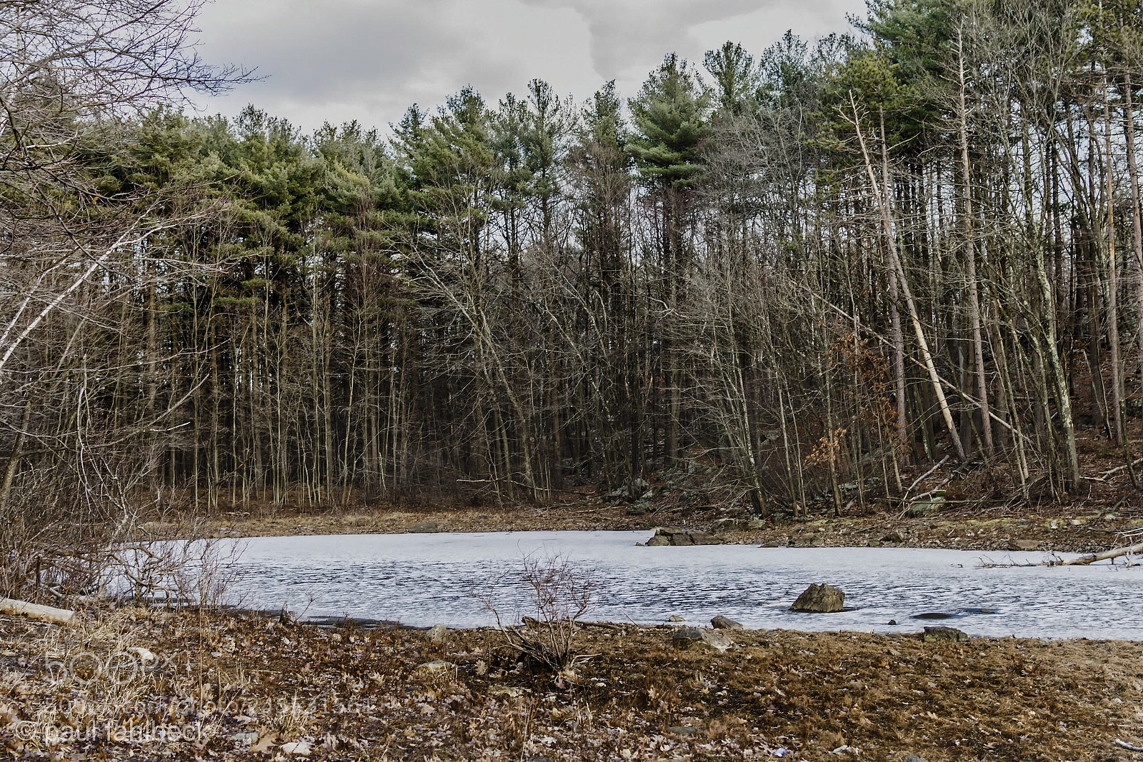 Nikon D7200 sample photo. Cold spot photography