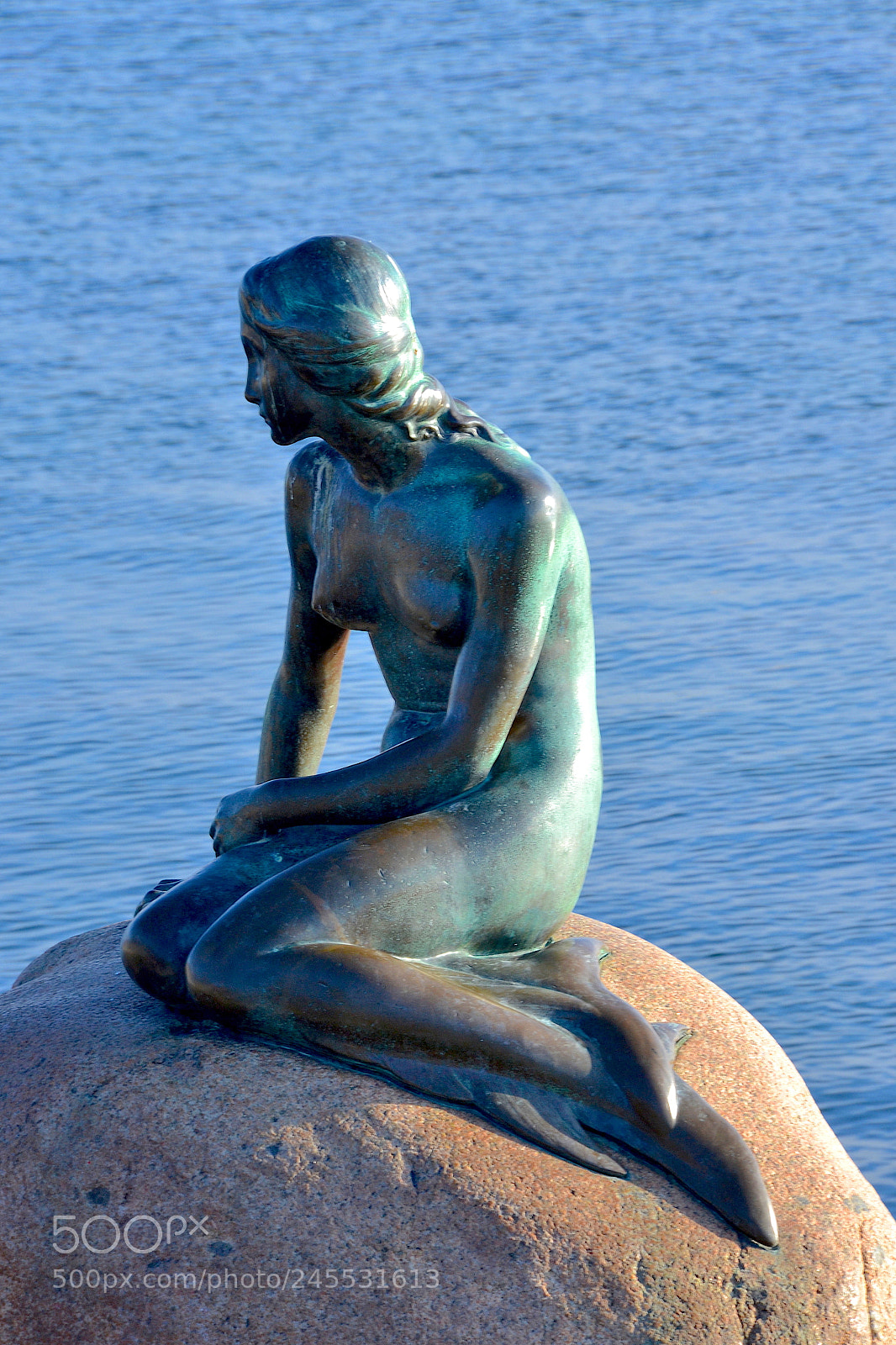 Nikon D3100 sample photo. The little mermaid photography