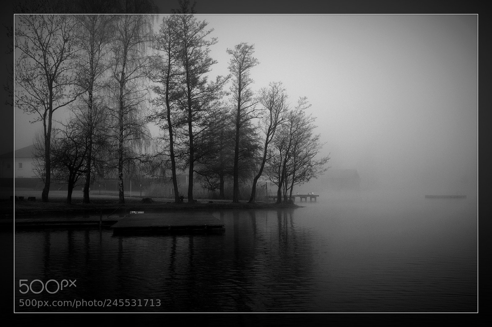 Nikon D90 sample photo. Misty b/w morning photography