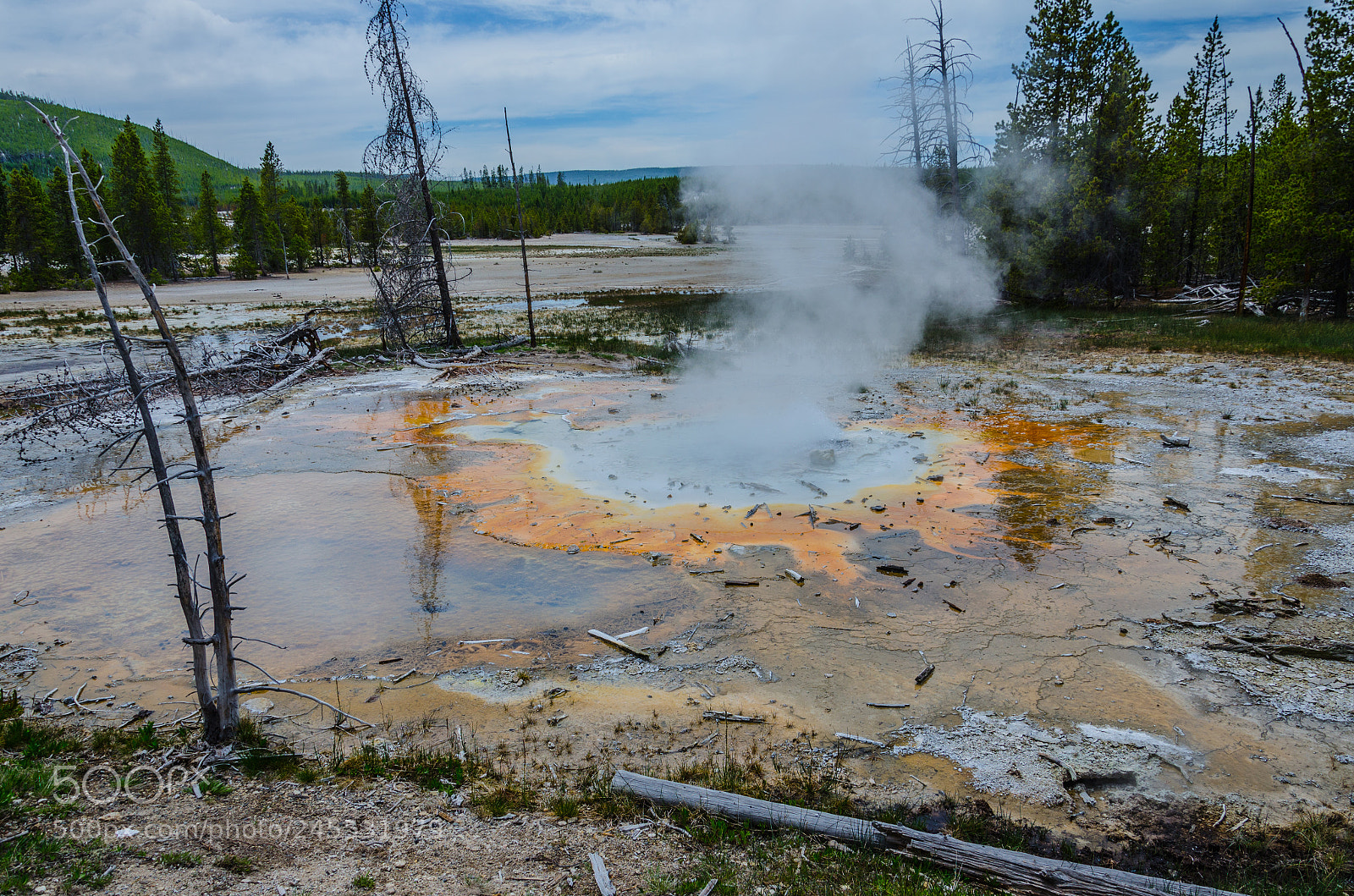 Nikon D5100 sample photo. Steam of yellowstone photography