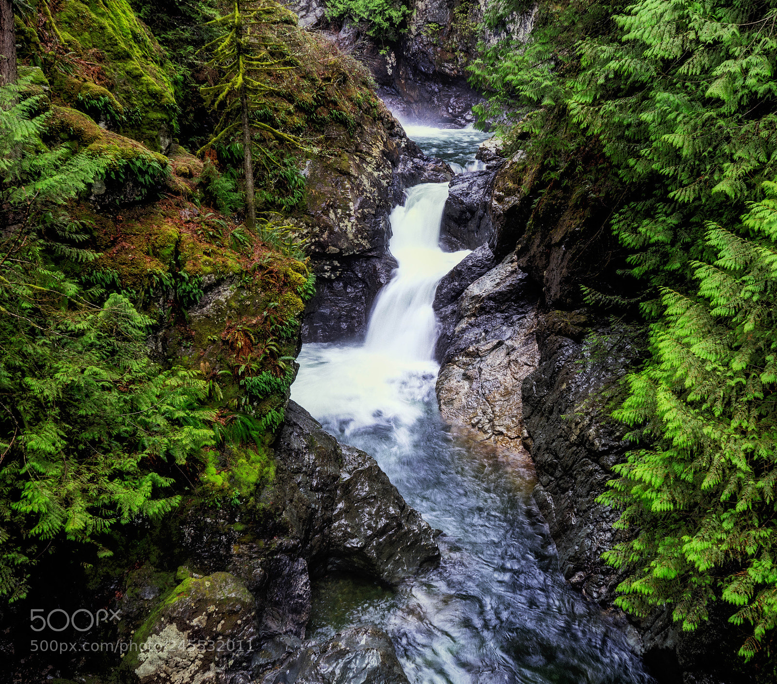 Sony a7 II sample photo. Twin falls photography
