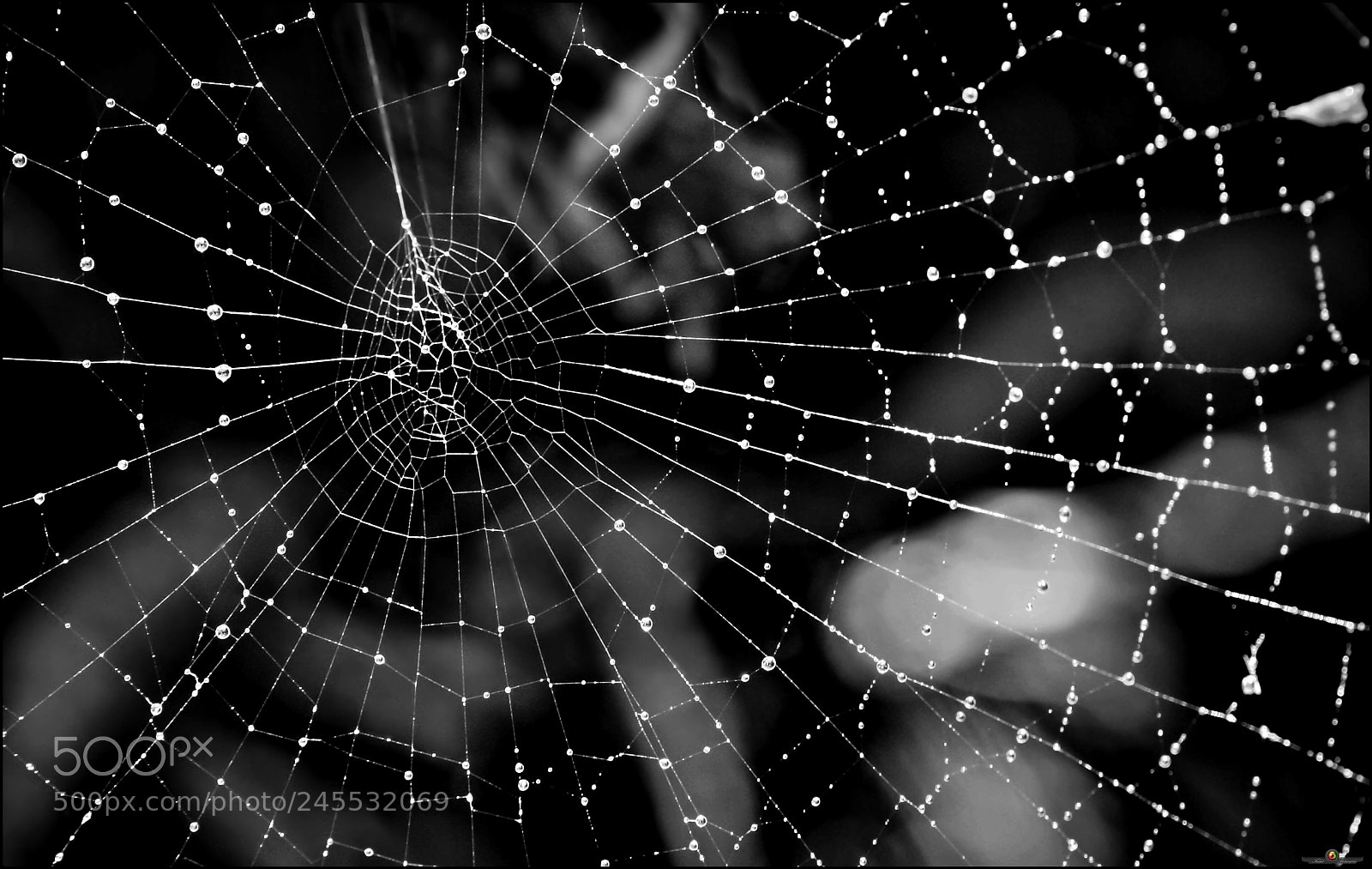Canon EOS 40D sample photo. La red photography