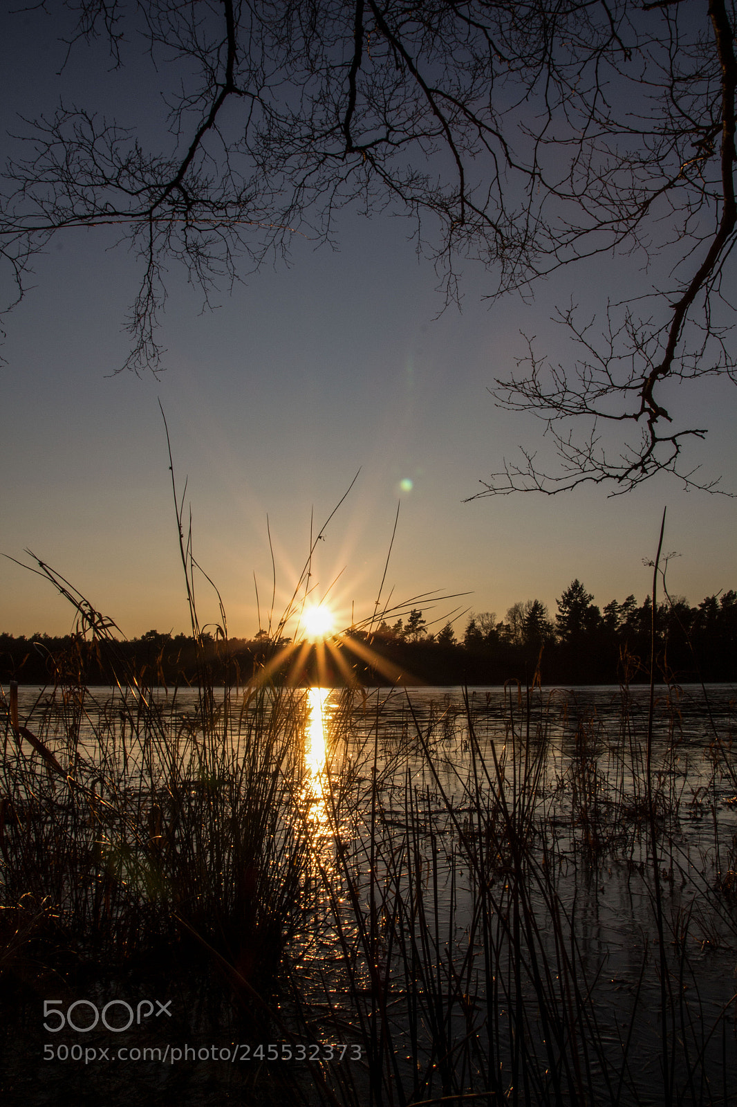 Canon EOS 700D (EOS Rebel T5i / EOS Kiss X7i) sample photo. Bullensee photography